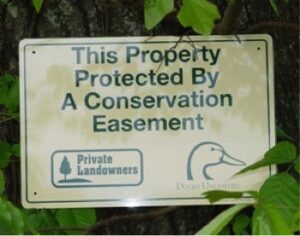 Easement